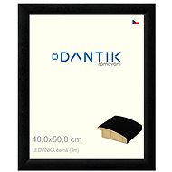 DANTIK frame 40 × 50, LEDVINKA black plexi clear - Photo Frame