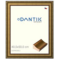 DANTIK frame 40 × 50, METAL AU large plexi clear - Photo Frame