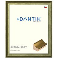 DANTIK frame 40 × 50, Ferrosa gold plexi clear - Photo Frame