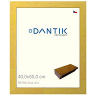 DANTIK frame 40 × 50, RETRO yellow plexi clear - Photo Frame
