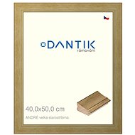 DANTIK frame 40 × 50, ANDRÉ large antique silver plexi clear - Photo Frame