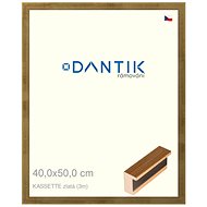 DANTIK frame 40 × 50, KASSETTE gold plexi clear - Photo Frame