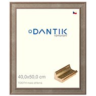 DANTIK frame 40 × 50, TOOTH small silver plexi clear - Photo Frame