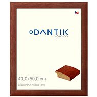 DANTIK frame 40 × 50, LEDVINKA brown plexi clear - Photo Frame