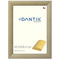 DANTIK frame 42 × 59,4, Rene white plexi clear - Photo Frame
