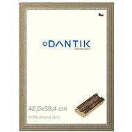 DANTIK frame 42 × 59,4, LYON silver plexi clear - Photo Frame