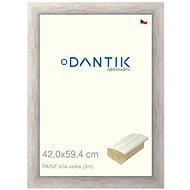 DANTIK frame 42 × 59,4, PAINT white large plexi clear - Photo Frame