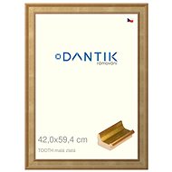 DANTIK frame 42 × 59,4, TOOTH small gold plexi clear - Photo Frame