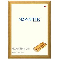 DANTIK frame 42 × 59,4, LYON gold plexi clear - Photo Frame