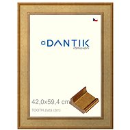 DANTIK frame 42 × 59,4, TOOTH gold plexi clear - Photo Frame