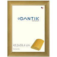 DANTIK frame 42 × 59,4, RENÉ natural plexi clear - Photo Frame