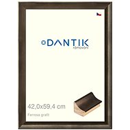 DANTIK frame 42 × 59,4, Ferrosa graphite plexi clear - Photo Frame