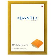 DANTIK frame 42 × 59,4, LEDVINKA yellow plexi clear - Photo Frame
