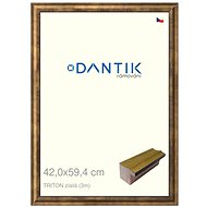 DANTIK frame 42 × 59,4, TRITON gold plexi clear - Photo Frame