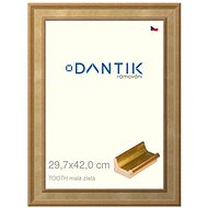 DANTIK frame 29,7 × 42, TOOTH small gold plexi clear - Photo Frame