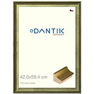 DANTIK frame 42 × 59,4, Ferrosa gold plexi clear - Photo Frame