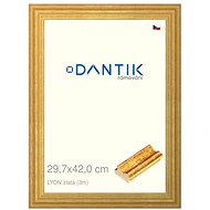 DANTIK frame 29,7 × 42, LYON gold plexi clear - Photo Frame