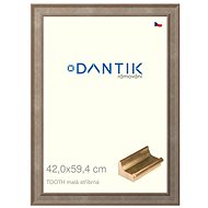 DANTIK frame 42 × 59,4, TOOTH small silver plexi clear - Photo Frame