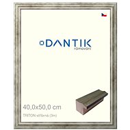 DANTIK frame 40 × 50, TRITON silver glass clear - Photo Frame