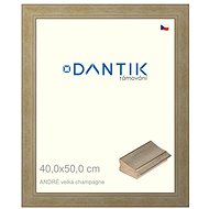 DANTIK frame 40 × 50, ANDRÉ large champagne glass clear - Photo Frame