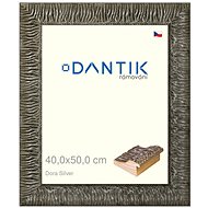 DANTIK frame 40 × 50, Dora Silver glass clear - Photo Frame