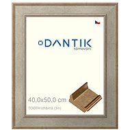DANTIK frame 40 × 50, TOOTH silver glass clear - Photo Frame