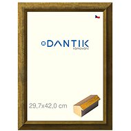 DANTIK frame 29,7 × 42, Forgia Gold plexi clear - Photo Frame