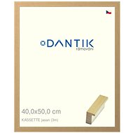 DANTIK frame 40 × 50, KASSETTE ash glass clear - Photo Frame