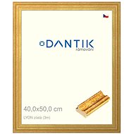 DANTIK frame 40 × 50, LYON gold glass clear - Photo Frame