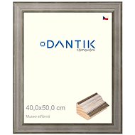 DANTIK frame 40 × 50, Museo silver glass clear - Photo Frame