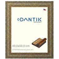 DANTIK frame 40 × 50, REVERSE white-gold plastic glass clear - Photo Frame
