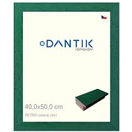 DANTIK frame 40 × 50, RETRO green glass clear - Photo Frame