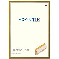 DANTIK frame 29,7 × 42, EVOQUE yellow plexi clear - Photo Frame
