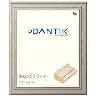 DANTIK frame 40 × 50, STEP white glass clear - Photo Frame