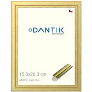 DANTIK frame 15 × 20, ANDRE gold glass clear - Photo Frame