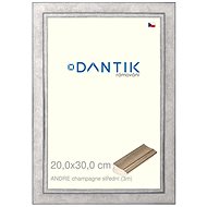 DANTIK frame 20 × 30, ANDRE champagne medium glass clear - Photo Frame