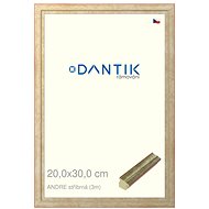DANTIK frame 20 × 30, ANDRE silver glass clear - Photo Frame