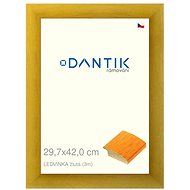 DANTIK frame 29,7 × 42, LEDVINKA yellow plexi clear - Photo Frame
