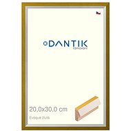 DANTIK frame 20 × 30, EVOQUE yellow glass clear - Photo Frame