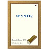 DANTIK frame 20 × 30, TOMAS gold glass clear - Photo Frame