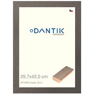 DANTIK frame 29,7 × 42, ATHINA grey plexi clear - Photo Frame