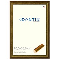 DANTIK frame 20 × 30, Old gold smooth glass clear - Photo Frame