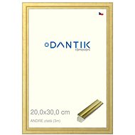DANTIK frame 20 × 30, ANDRE gold glass clear - Photo Frame