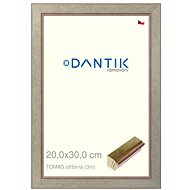DANTIK frame 20 × 30, TOMAS silver glass clear - Photo Frame