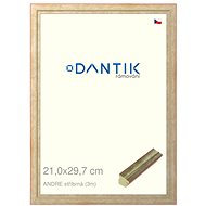DANTIK frame 21 × 29,7, ANDRE silver glass clear - Photo Frame