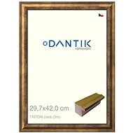 DANTIK frame 29,7 × 42, TRITON gold plexi clear - Photo Frame