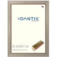 DANTIK frame 21 × 29,7, TOMAS silver glass clear - Photo Frame