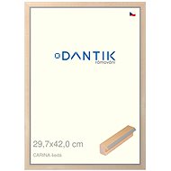 DANTIK frame 29,7 × 42, CARINA grey plexi clear - Photo Frame