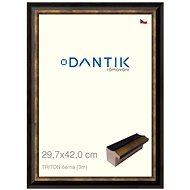 DANTIK frame 29,7 × 42, TRITON black plexi clear - Photo Frame