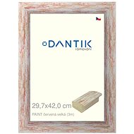 DANTIK frame 29,7 × 42, PAINT red large plexi clear - Photo Frame